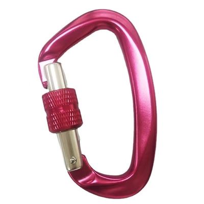 ভালো দাম Galvanized Hardware Aerospace Aluminum D-Shaped Carabiner Essential Gear for Climbing অনলাইন