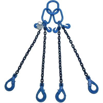 ভালো দাম Standard Blacken Finished Strong G80 Alloy Steel Lifting Chain Sling with Hook অনলাইন