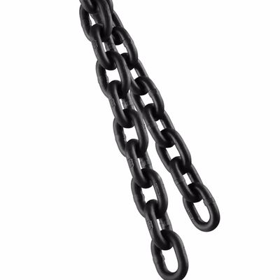 ভালো দাম Professional Lifting Chain for Safe and Precise Weight Lifting Applications অনলাইন