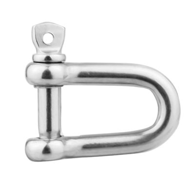 ভালো দাম General Industry Stainless Steel Chain Lifting D Shackle 304L 316L Rigging Hardware অনলাইন