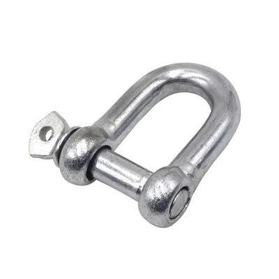 ভালো দাম Stainless Steel 304/316 European Type Screw Pin D Shackle For Industrial Applications অনলাইন