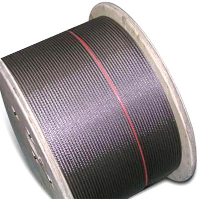 ভালো দাম 6x7 FC 7x7 A2 A4 Inox Cable AISI316T AISI304 SUS316 SUS304 Stainless Steel Wire Rope Customization Non-magnetic Ropes Wire অনলাইন